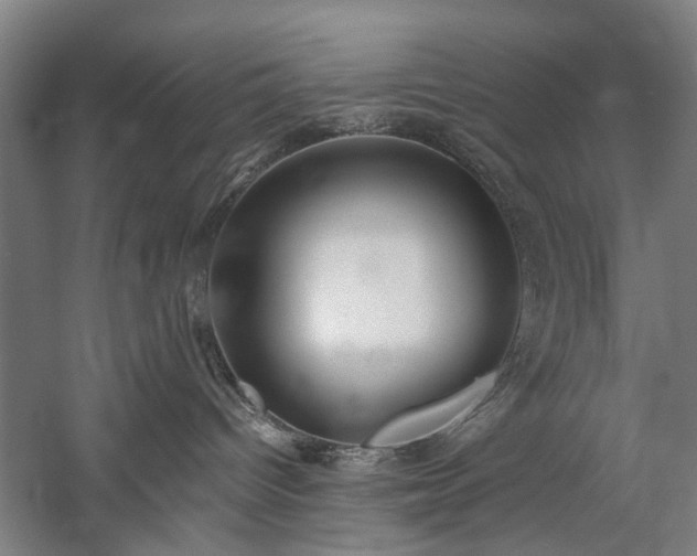 X0000060260096200510281217