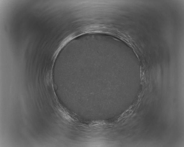 X0000060260099200510281216