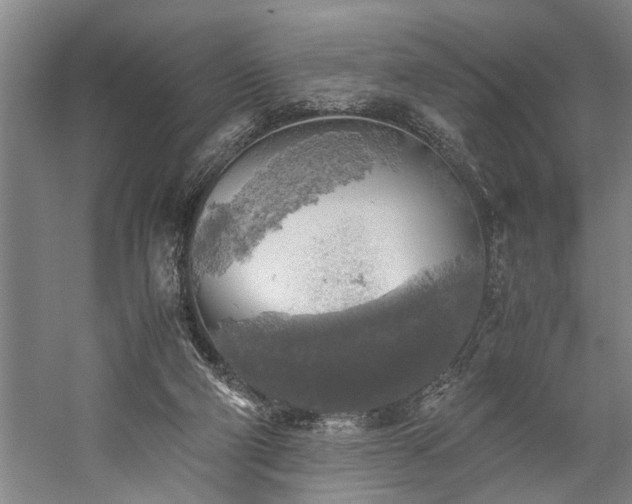 X0000060260114200510281216