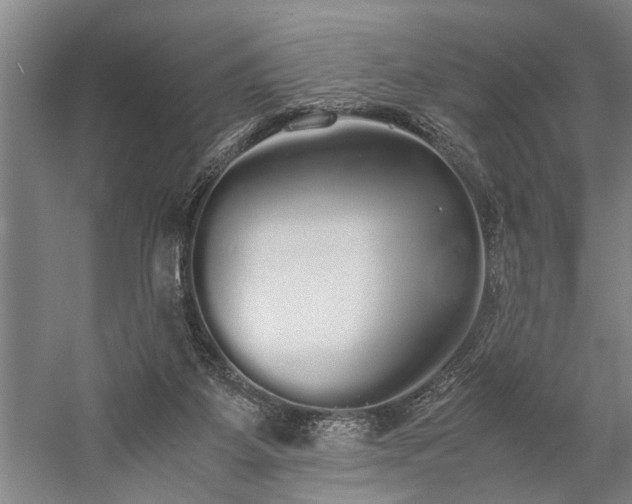 X0000060260115200510281216