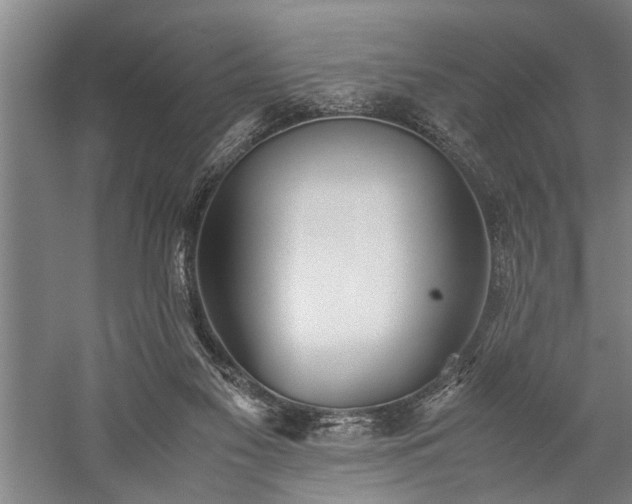 X0000060260117200510281216