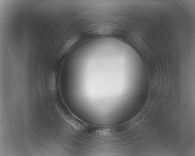 X0000060260120200510281215