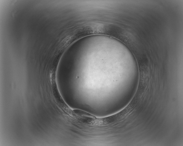 X0000060260123200510281215