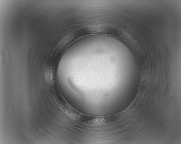 X0000060260124200510281215