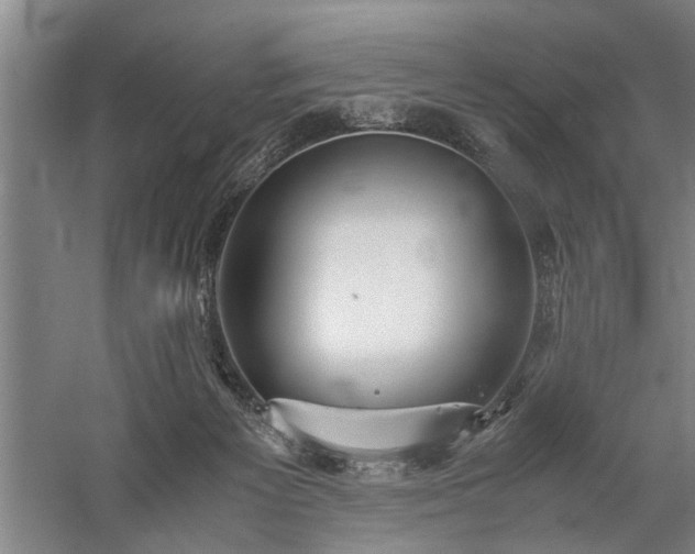 X0000060260125200510281215