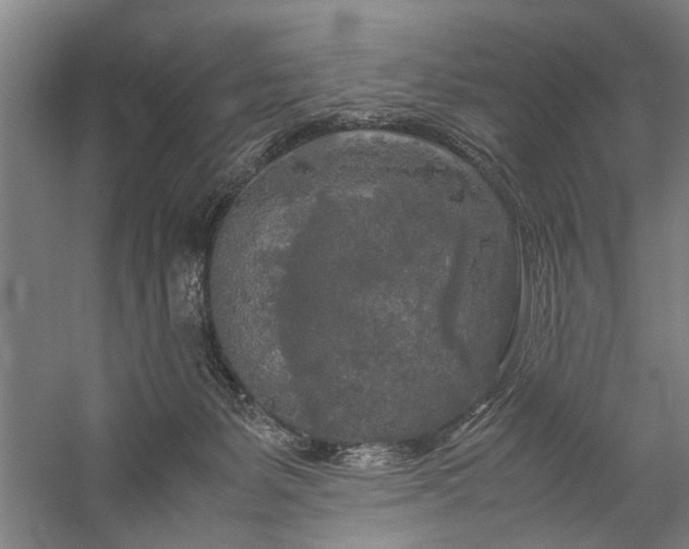 X0000060260127200510281215