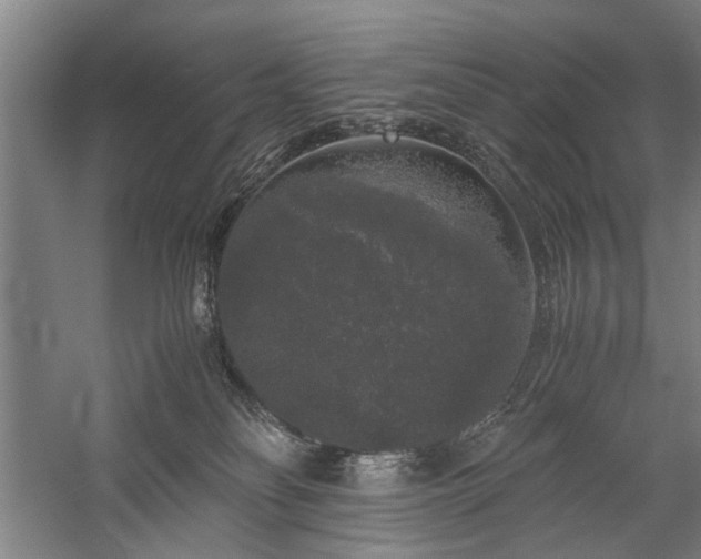 X0000060260134200510281215