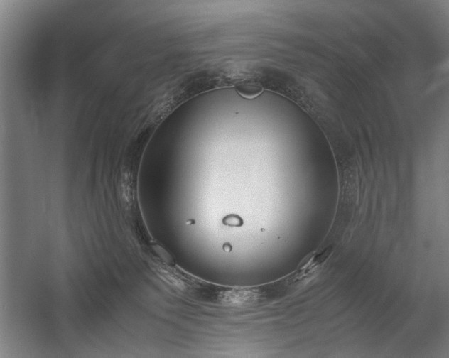 X0000060260135200510281215