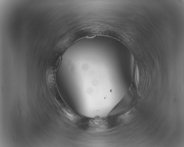 X0000060260137200510281215