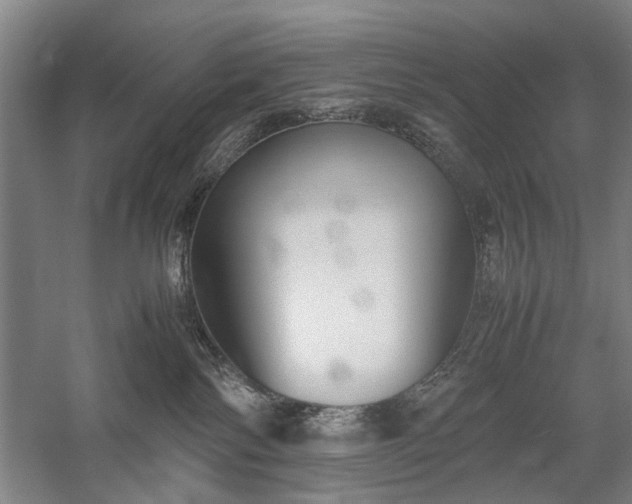 X0000060260138200510281215