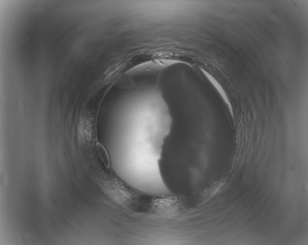 X0000060260139200510281215