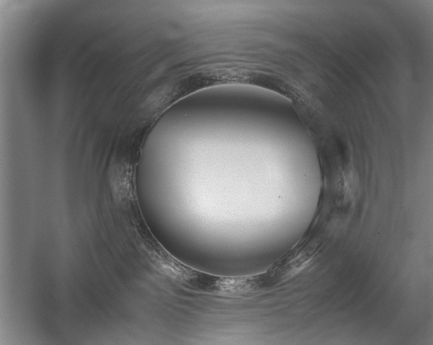 X0000060260141200510281215