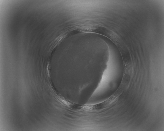 X0000060260143200510281215