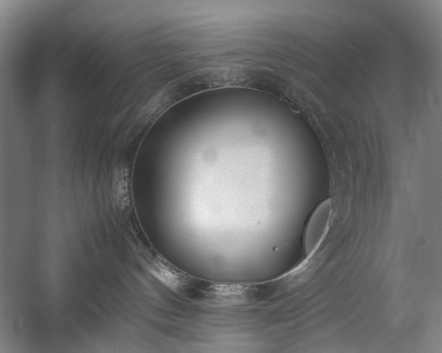 X0000060260144200510281215