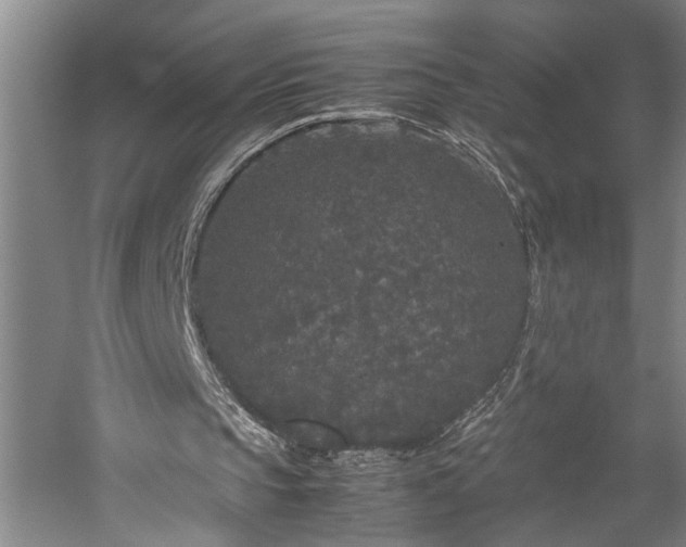 X0000060260145200510281214