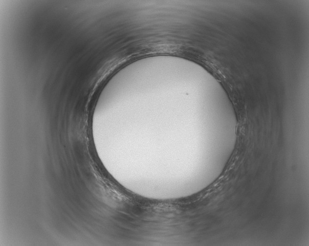 X0000060260146200510281214