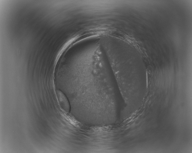 X0000060260147200510281214