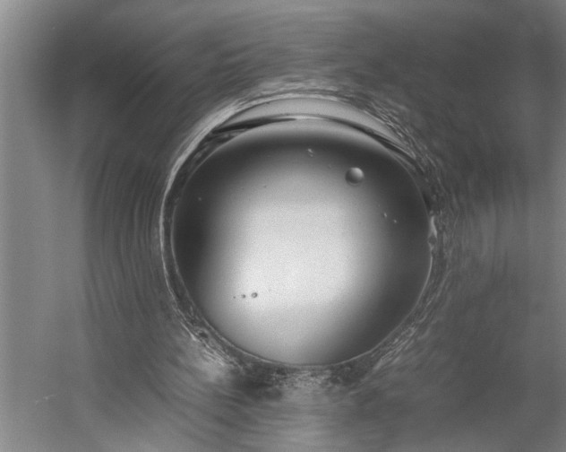 X0000060260148200510281214