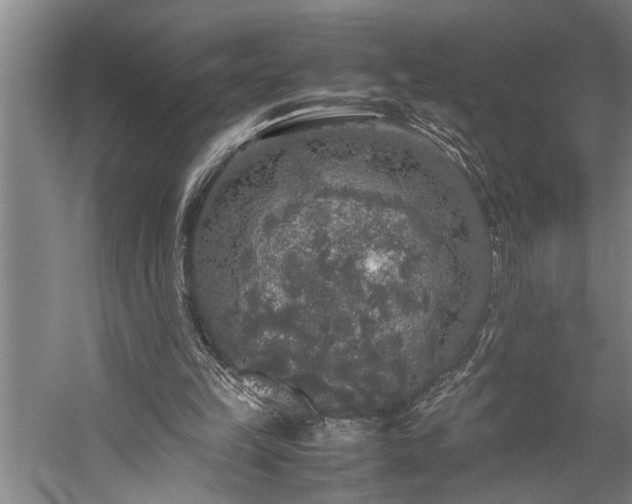 X0000060260149200510281214