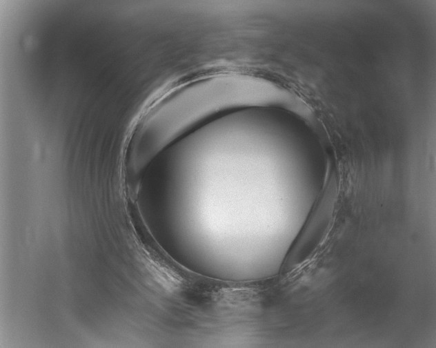 X0000060260150200510281214