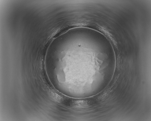 X0000060260153200510281214