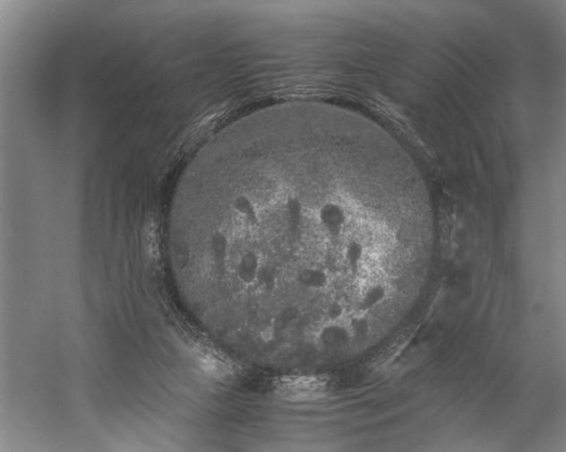 X0000060260161200510281215