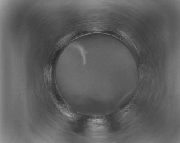 X0000060260163200510281215