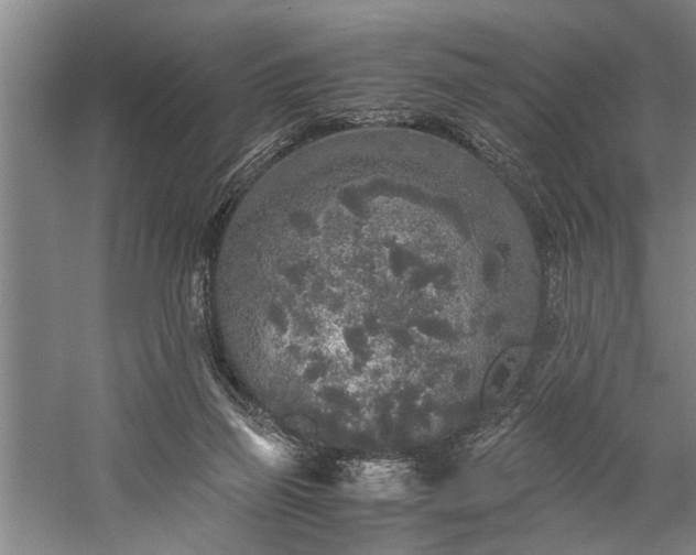 X0000060260165200510281215