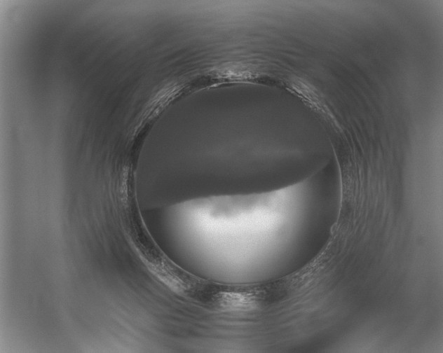 X0000060260167200510281215