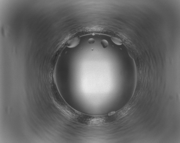 X0000060260168200510281215