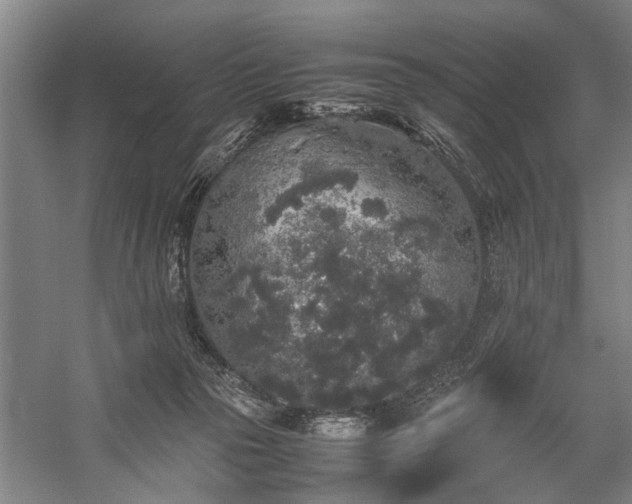 X0000060260169200510281215