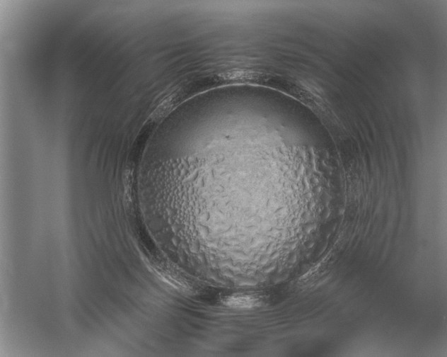 X0000060260171200510281215