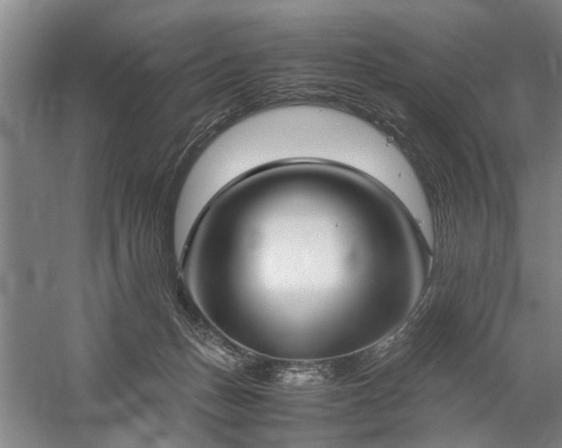 X0000060260175200510281215