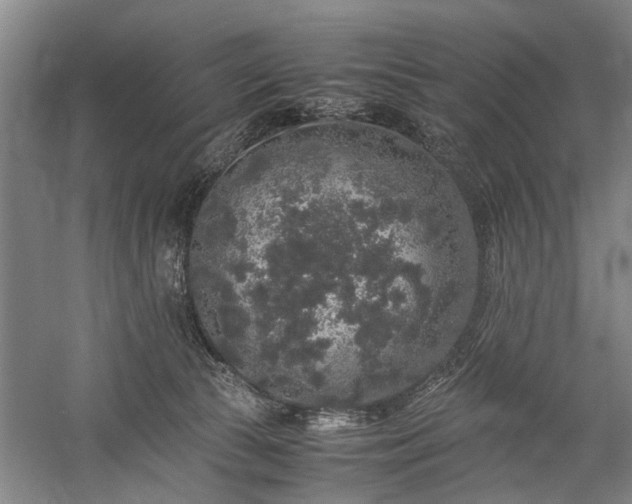 X0000060260177200510281215