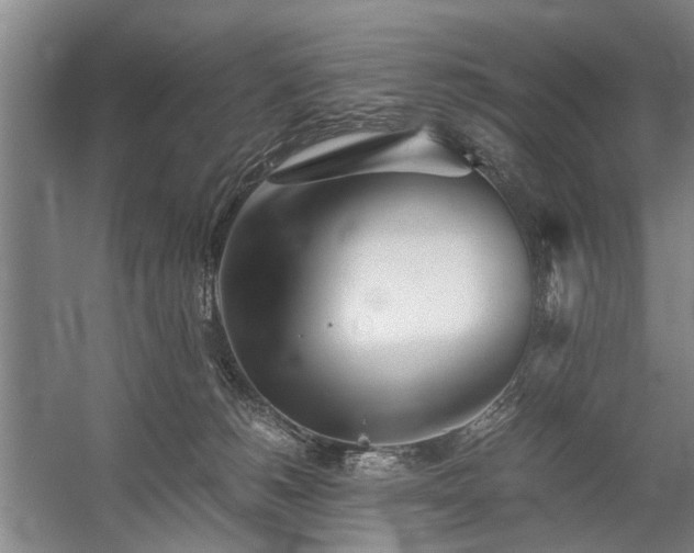 X0000060260180200510281215