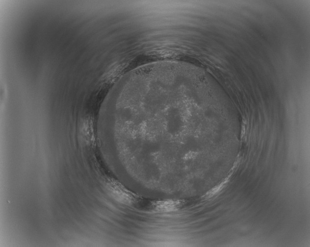 X0000060260182200510281215