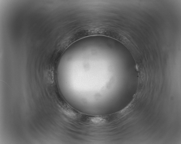 X0000060260183200510281215