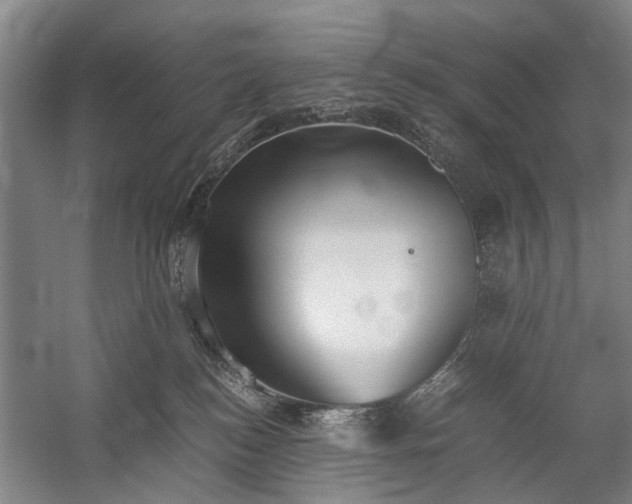 X0000060260184200510281215