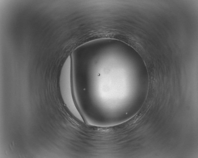 X0000060260185200510281215