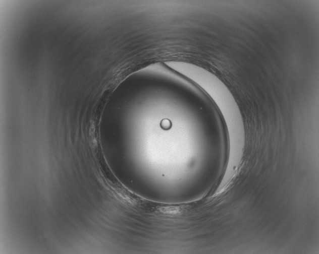 X0000060260187200510281215