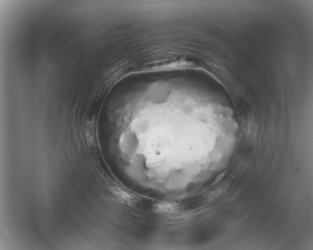 X0000060260189200510281215