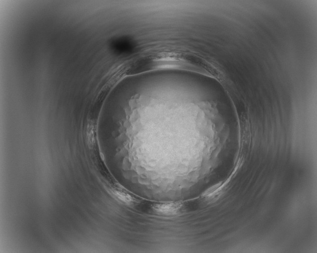 X0000060260191200510281215