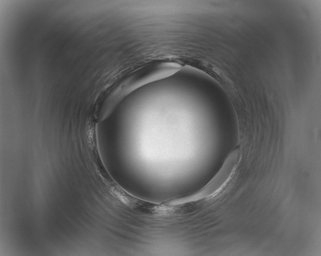 X0000060260192200510281215