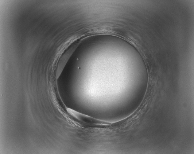 X0000060260193200510281214