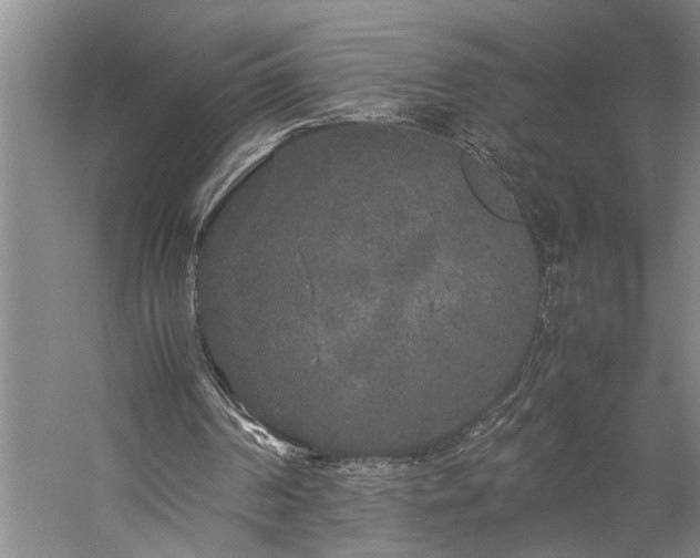 X0000060260194200510281214