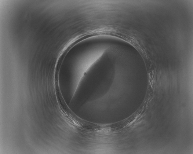 X0000060260196200510281214