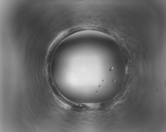 X0000060260197200510281214