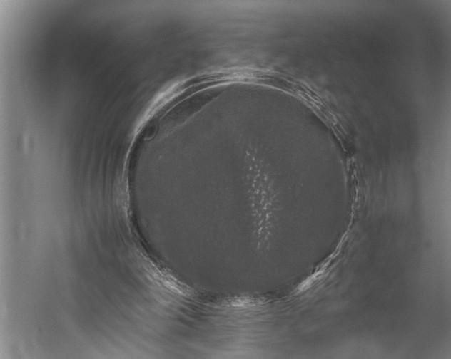 X0000060260198200510281214