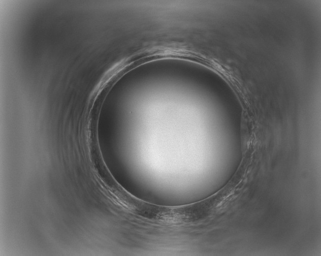 X0000060260199200510281214