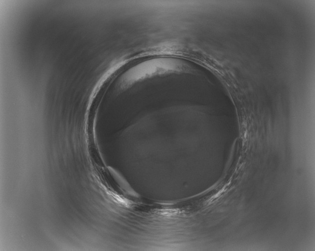 X0000060260200200510281214